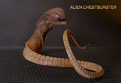 alien xenomorph chestburster